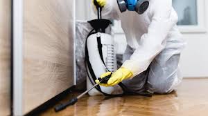 Real Estate Pest Inspections in Jurupa Valley, CA